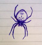 spiderdoodle